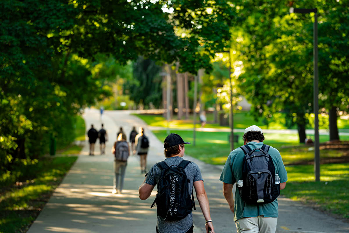 Several groups of Students with backpacks on from behind, walking down a sidewalk on campus