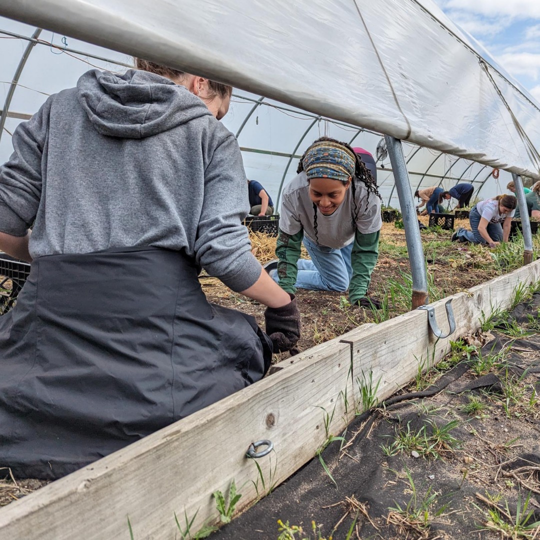 Students gardening for a community service project