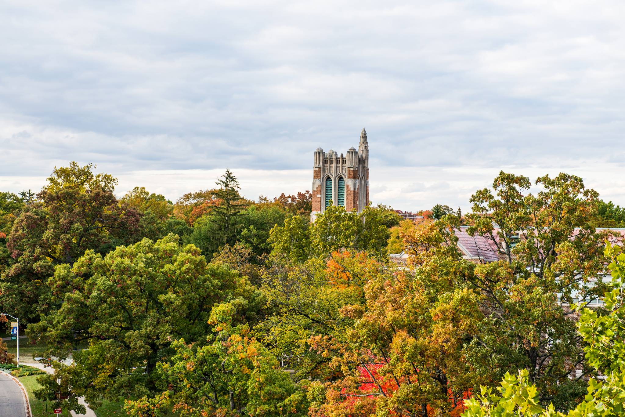 The top of the Beaumont Tower towers over a line of trees in the fall