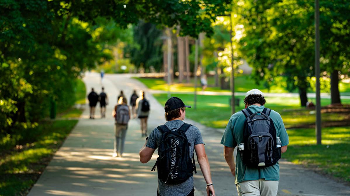 Several groups of Students with backpacks on from behind, walking down a sidewalk on campus