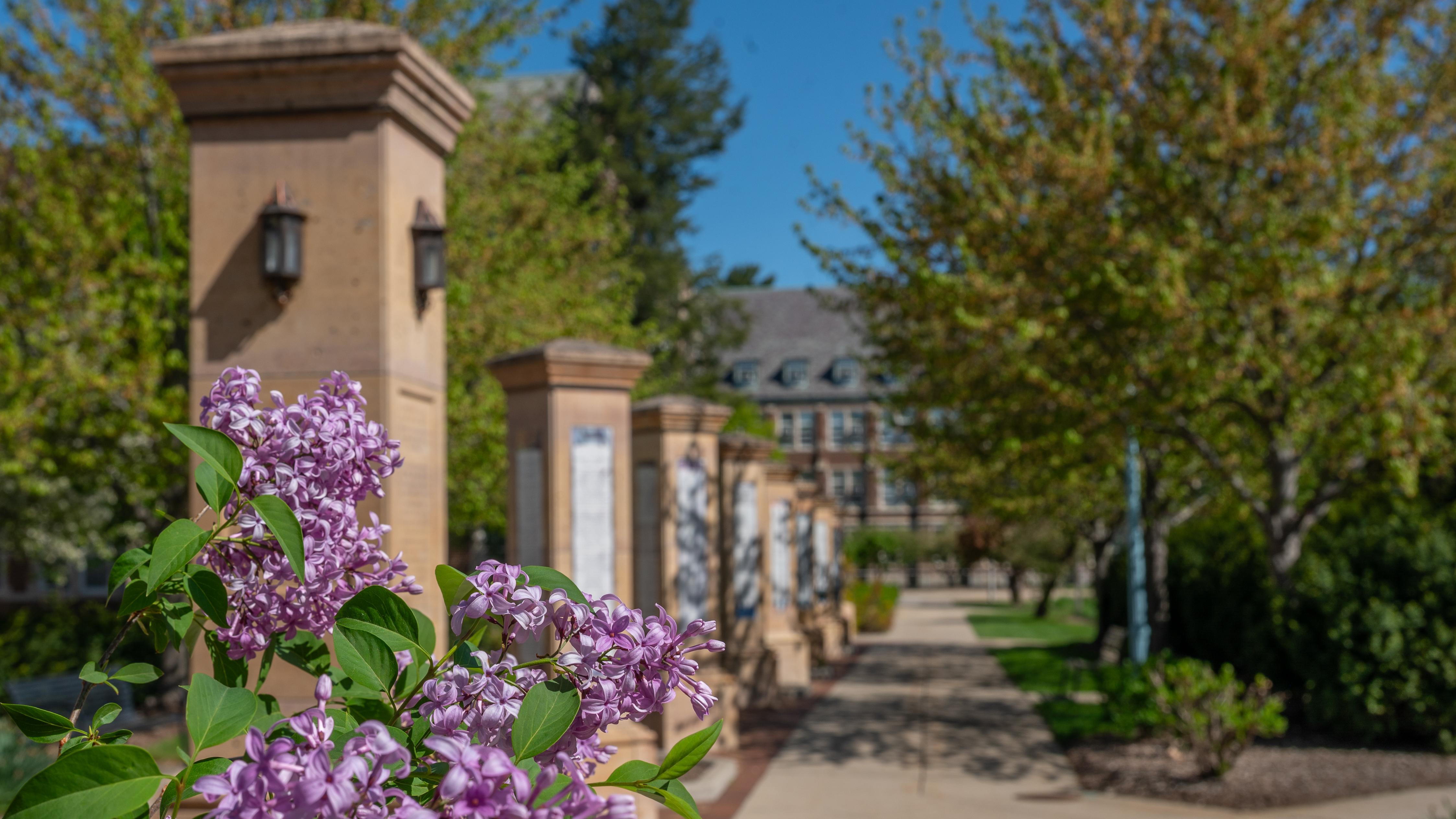 Flower bush in the foreground with Benefactors Plaza pillars in the background