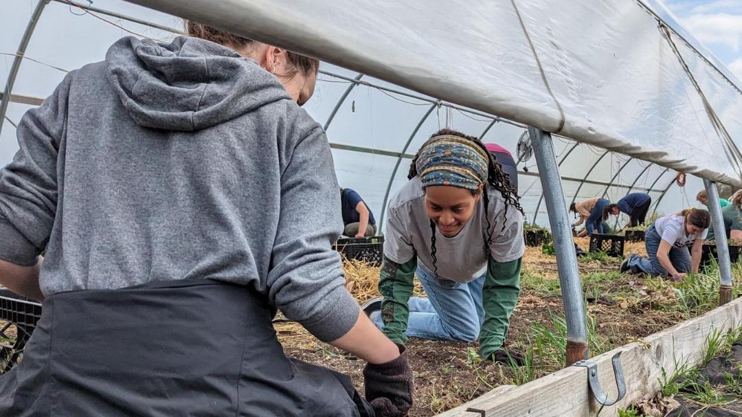 Students gardening for a community service project